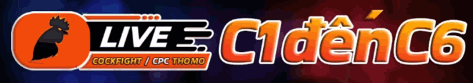 BJ888-da-ga-truc-tiep-cpc